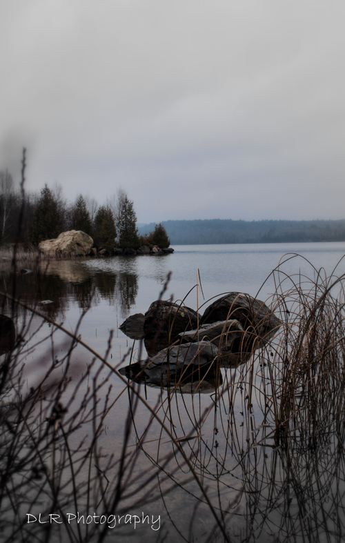 Dani Lynn Redgrift-Berthelot - Morning Calm