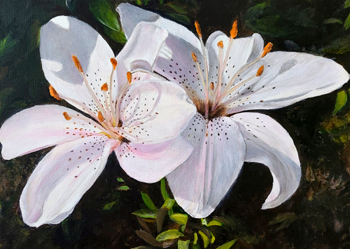 Linda Jack - 1