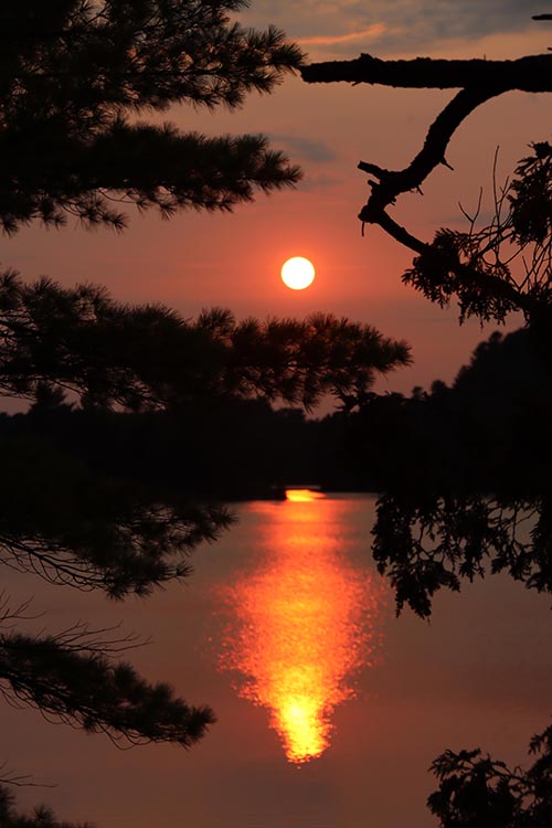 Jon Butler - Sunset