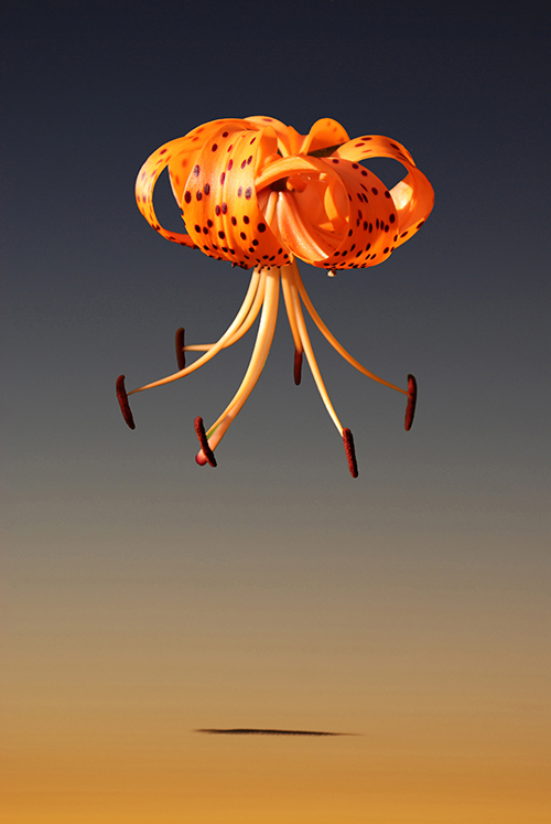 Jon Butler - Untitled XXXIV