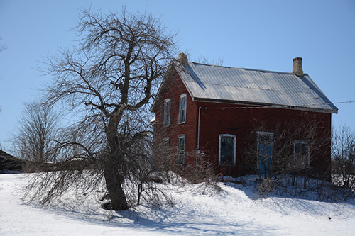 Peter Barnett - Old Red House