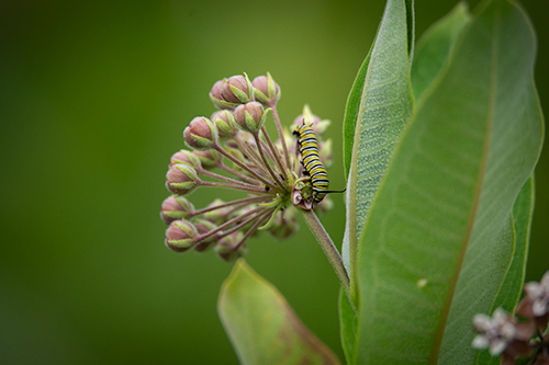 Breanna J Marshall - Her Whole World