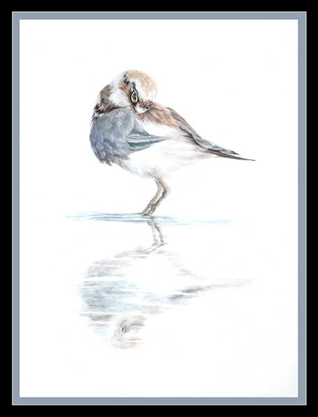 Astrid Colton - Reflections