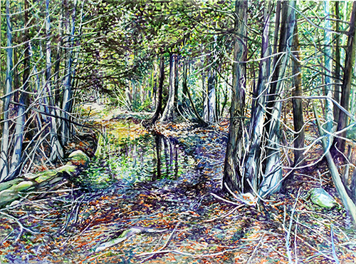 Christie Best Pearson Anderson - A Walk In The Woods