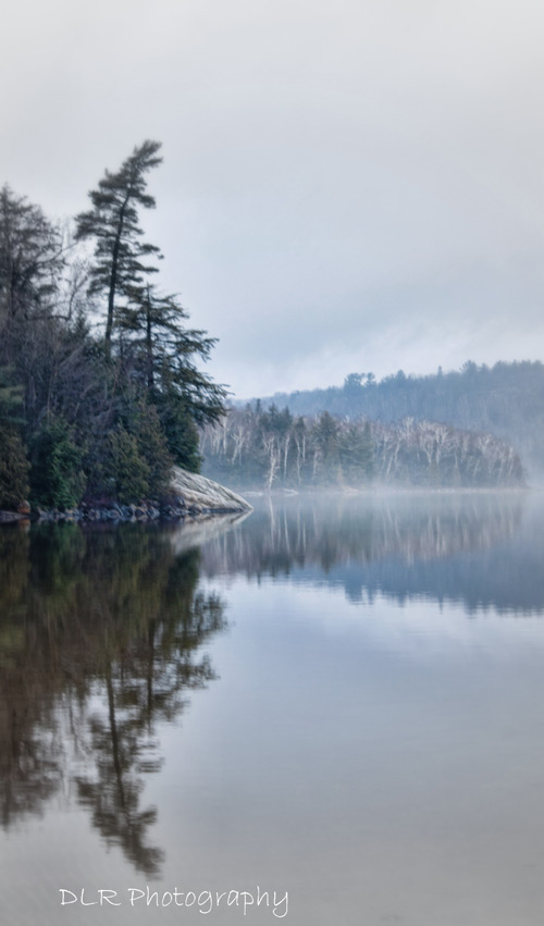 Dani Lynn Redgrift-Berthelot - Misty Morning