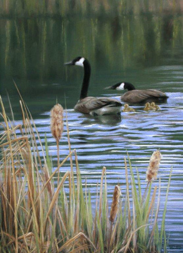 Debra Ireland - Family Retreat