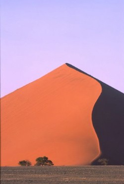 John Knox - Dune