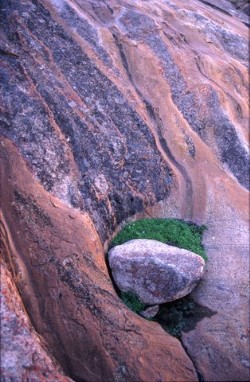John Knox - Rock