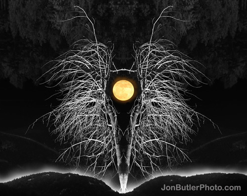 Jon Butler - Moon