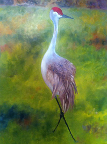 Karen Rodgers - Sandhill Crane