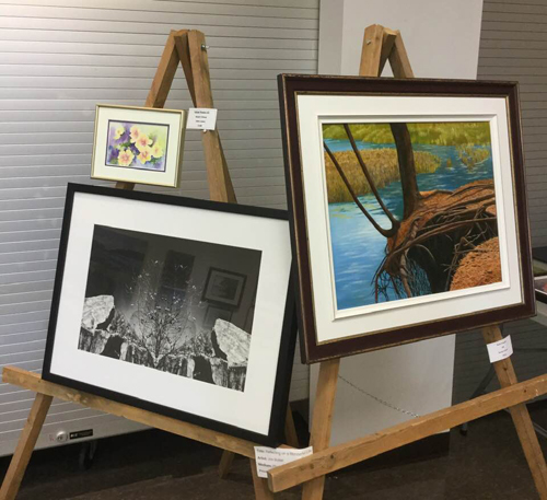 2019 MFFA Members Show