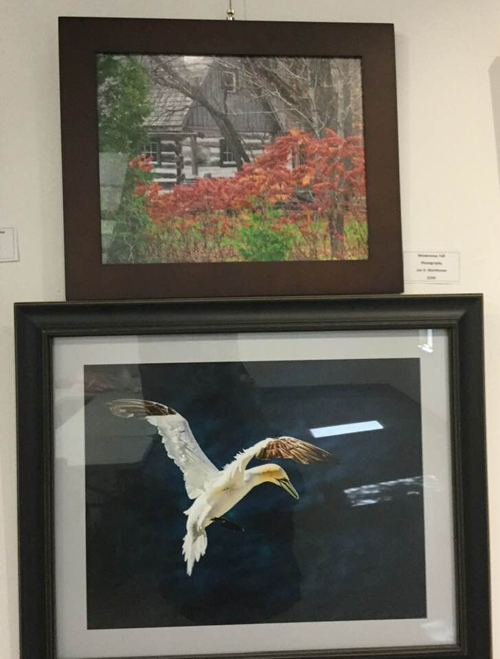 2019 MFFA Members Show