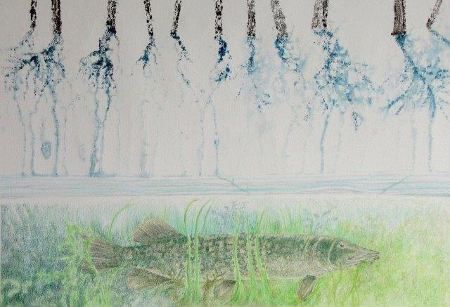 64th NOAA Annual Juried Exhition