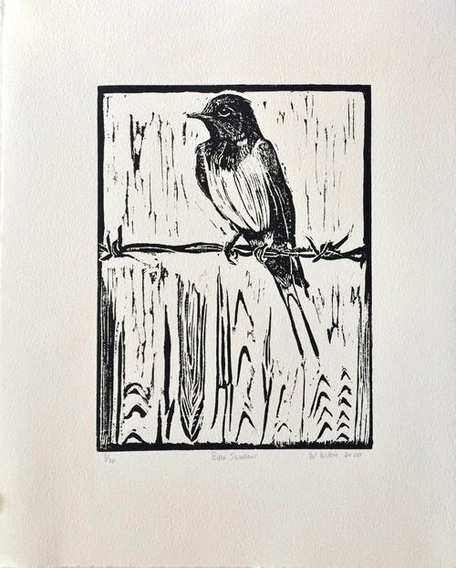 Willa Wilson - Barn Swallow